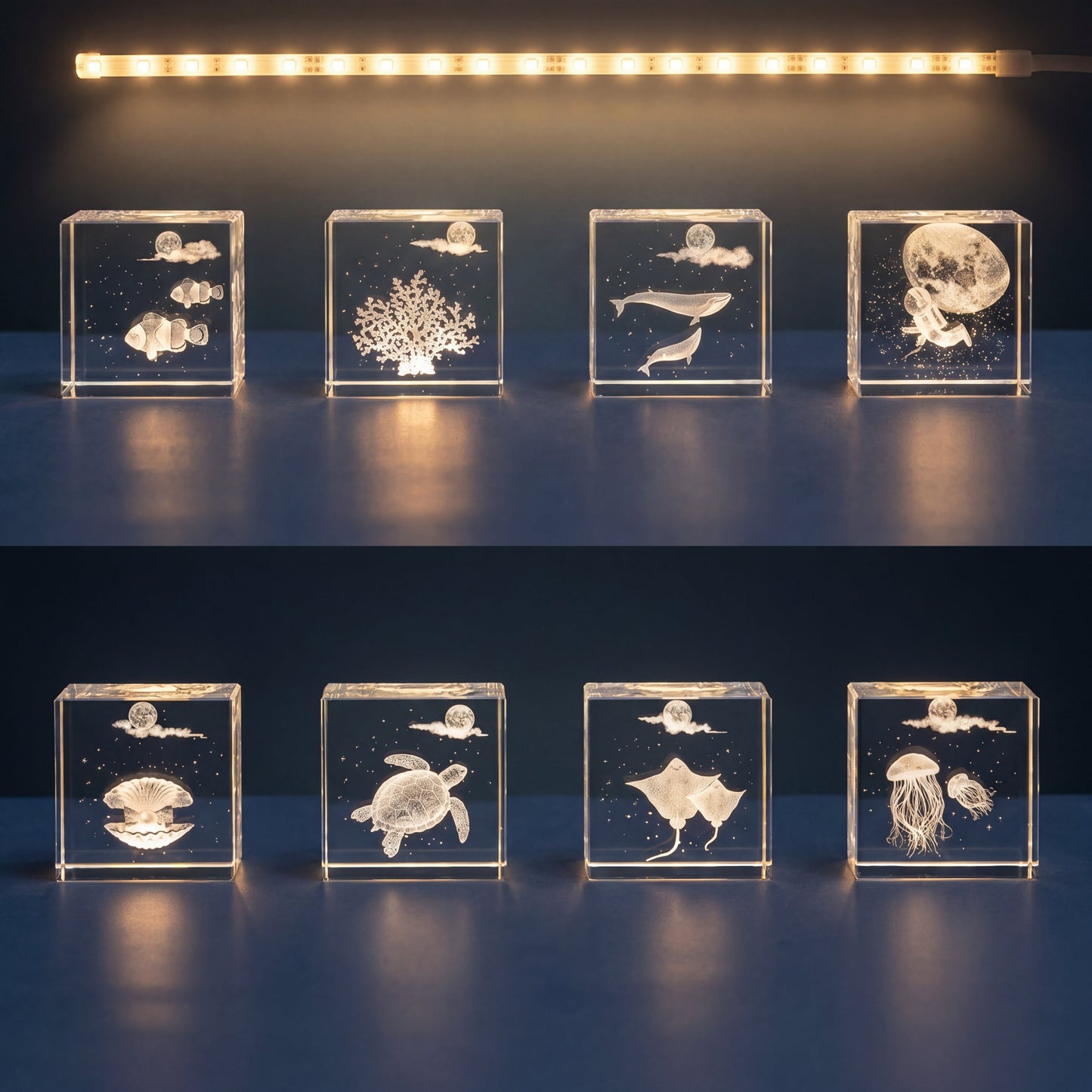 Full collection of 3D engraved crystal cube keepsakes with ocean, moon and animal designs