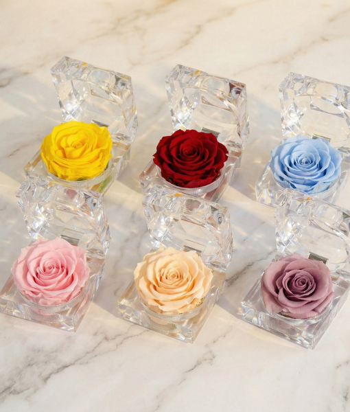 Colorful preserved roses in clear cube containers on a marble surface