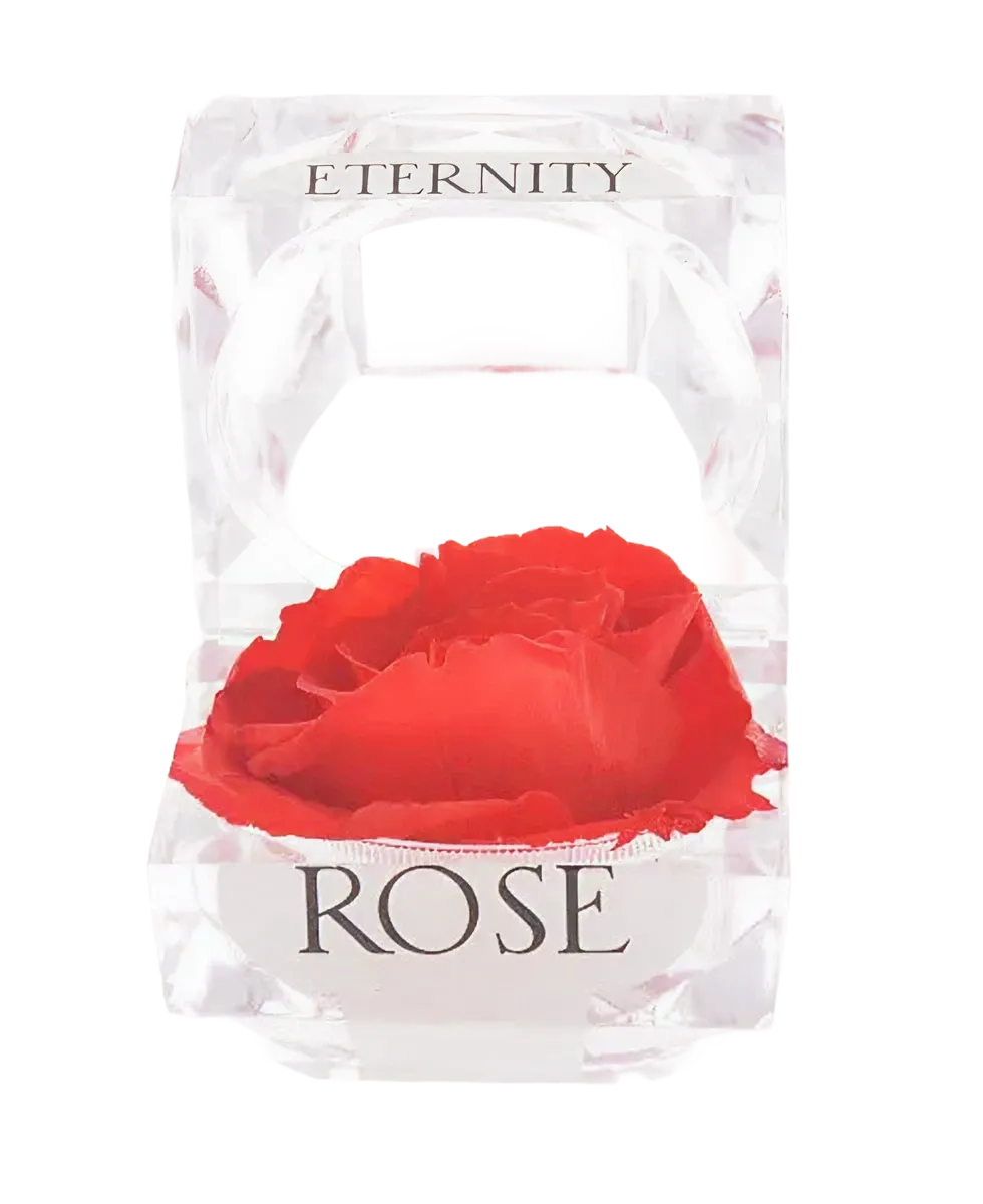 Everlasting Rose Gift Box – Where Love Lives Forever