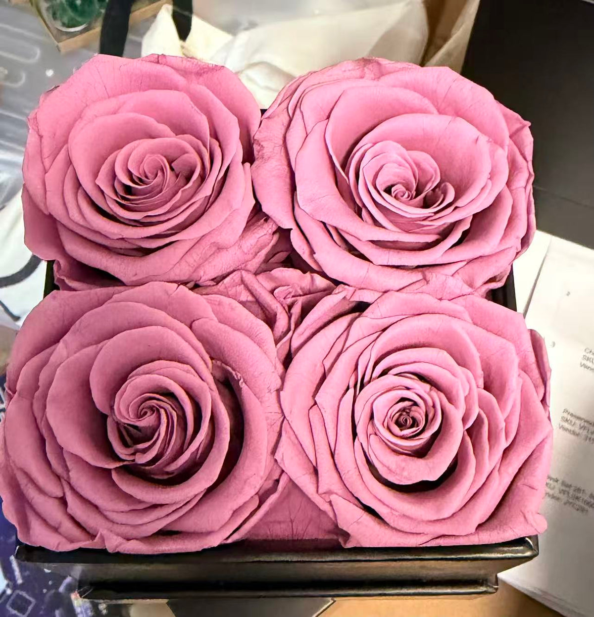 Preserved Rose Square Gift Box