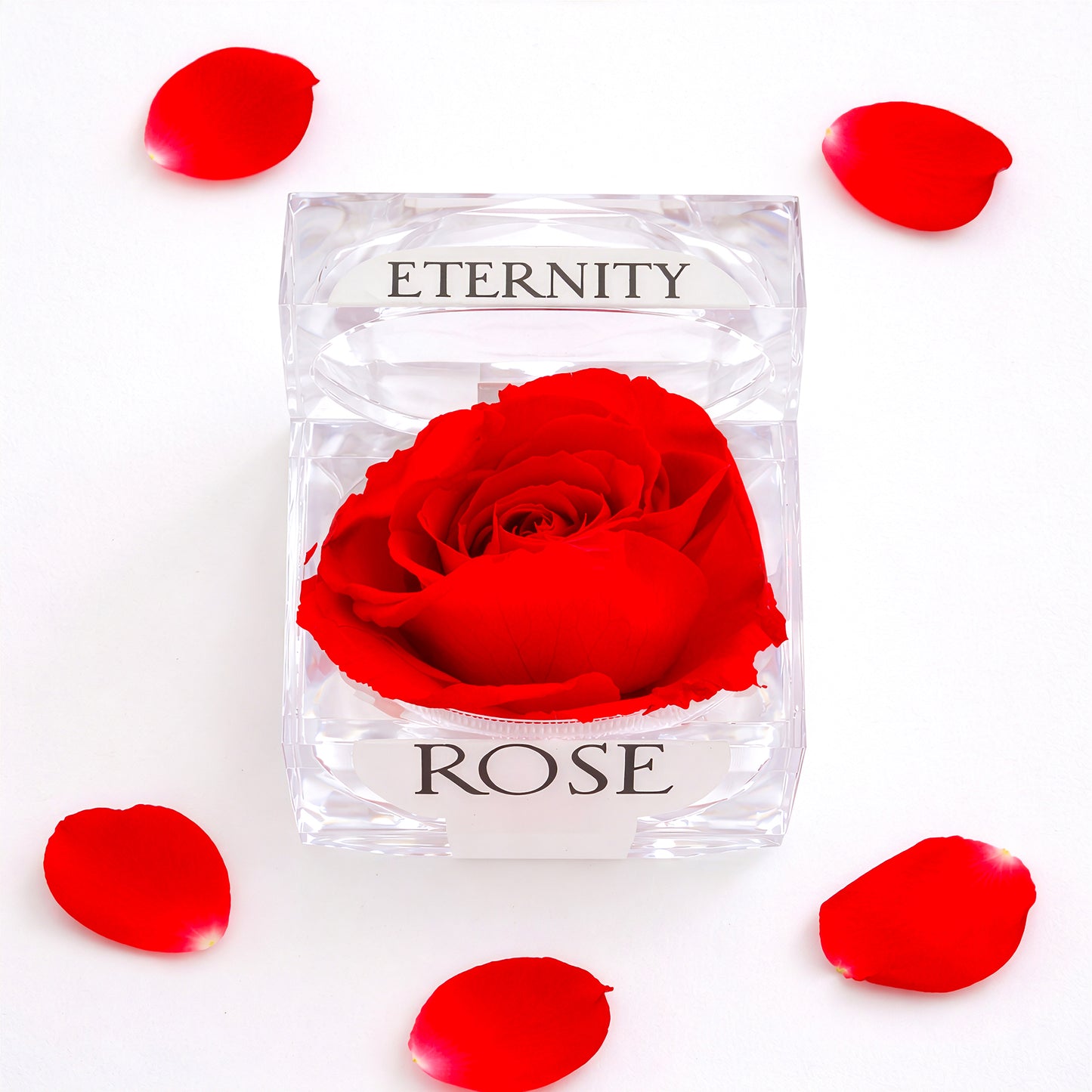 Eternity rose gift box with red petals romantic preserved flower display