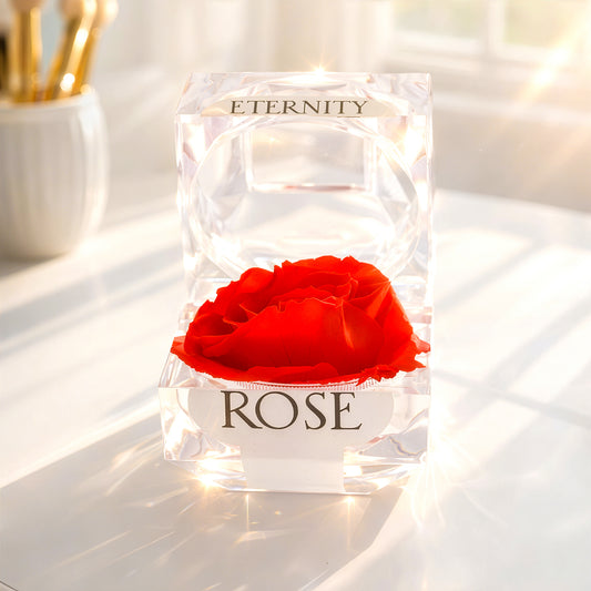 Everlasting preserved rose gift box romantic gift for her in crystal display case Australia