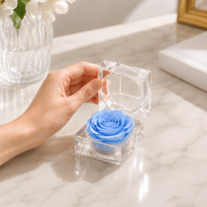 A hand holds open aA hand holds an open A hand holds open a Blue Preserved Rose Crystal Gift Box with a real preserved rose inside a clear crystal box, on a white marble countertop.