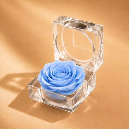 Blue Preserved Rose Crystal Gift Box with real preserved rose in a crystal display box