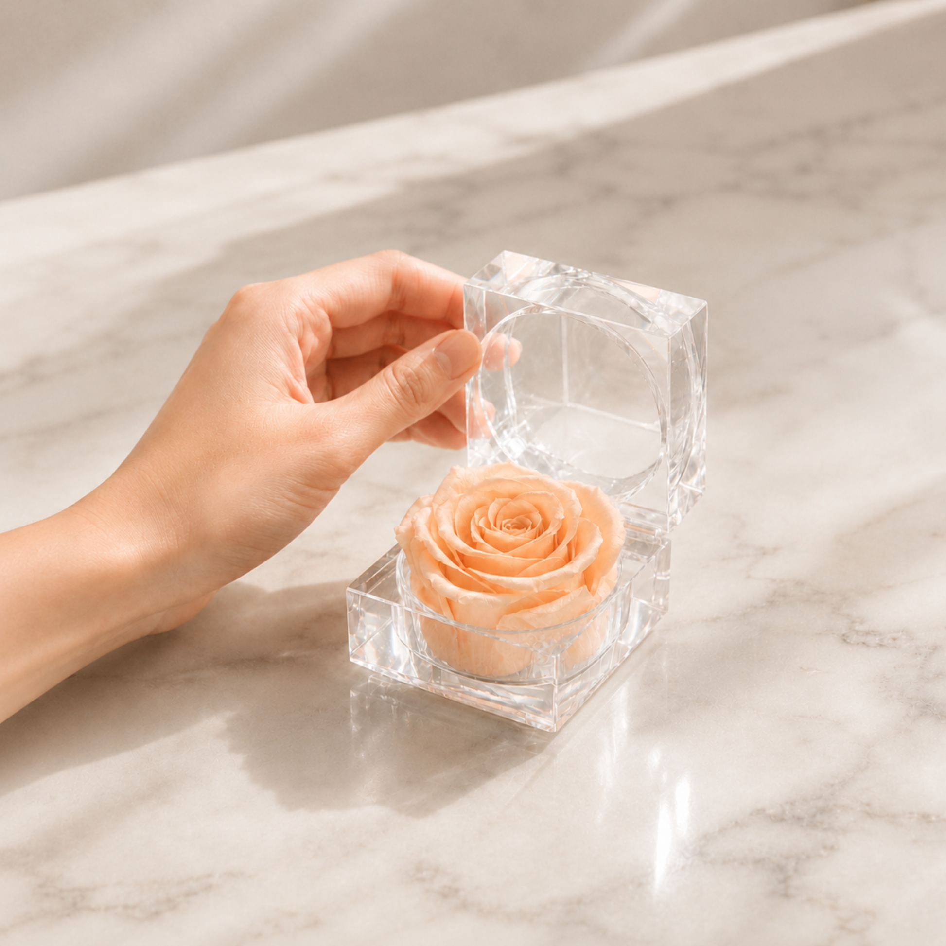 A hand holds an open A hand holds open a Champagne Preserved Rose Crystal Gift Box with a real preserved rose inside a clear crystal box, set on a light beige surface with soft shadows and a blurred book in the background. on a light marble surface.