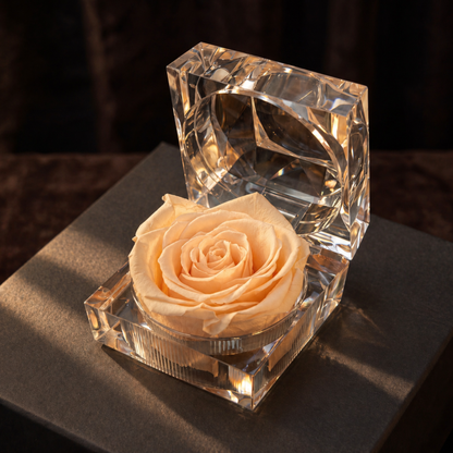 Champagne Preserved Rose Crystal Gift Box with a real preserved rose in a transparent crystal box