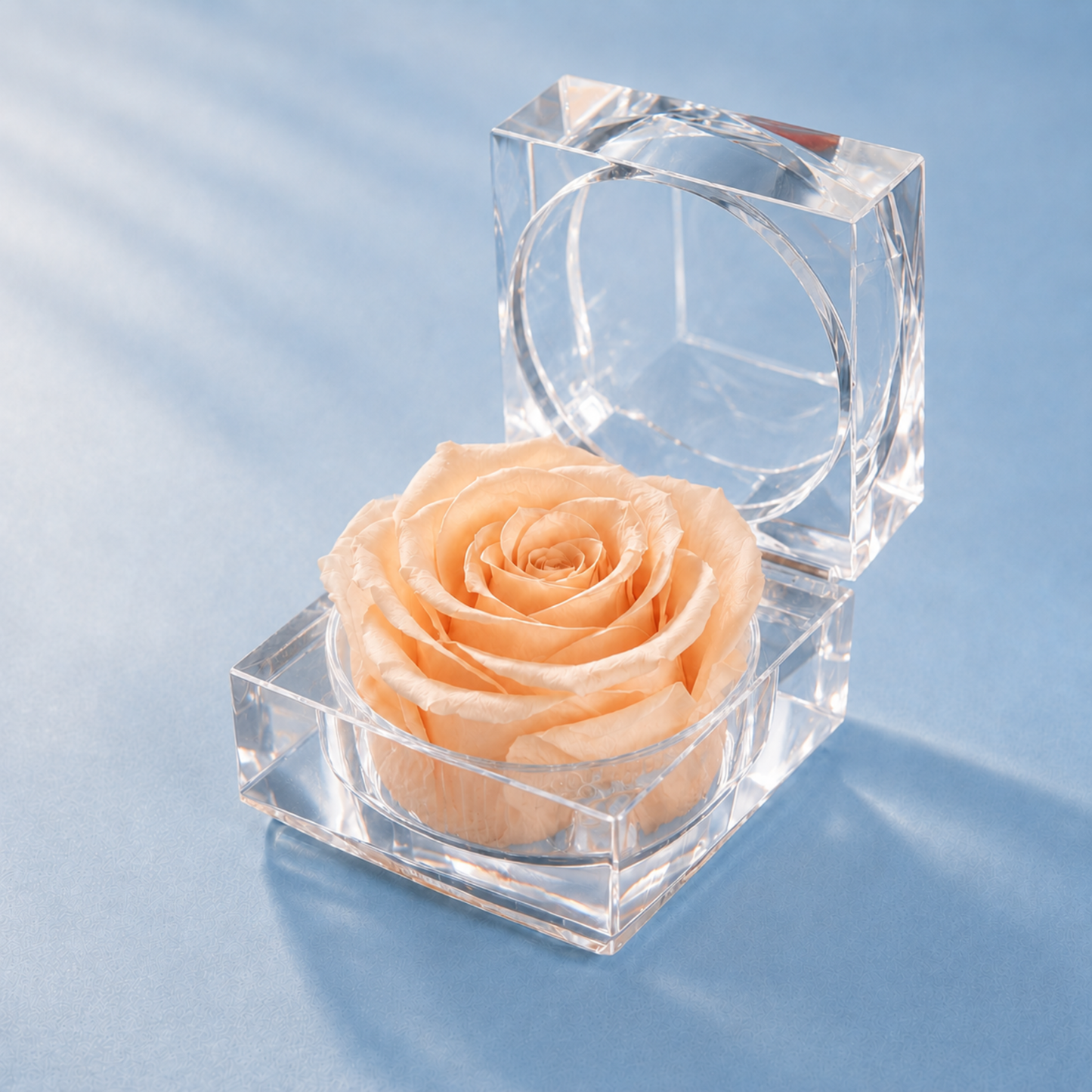 Champagne Preserved Rose Crystal Gift Box with a real preserved rose inside a clear crystal box