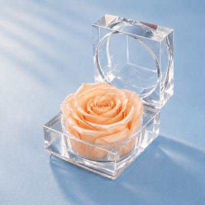 Champagne Preserved Rose Crystal Gift Box with a real preserved rose inside a clear crystal box