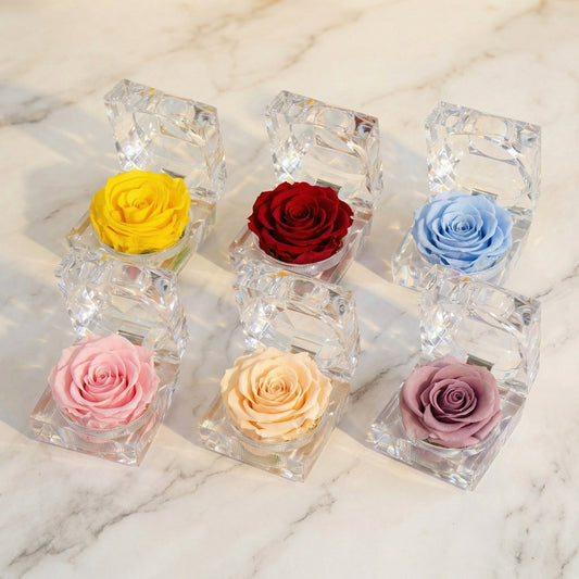 Preserved Rose Crystal Gift Box available in multiple colours including red pink blue yellow purple and champagne