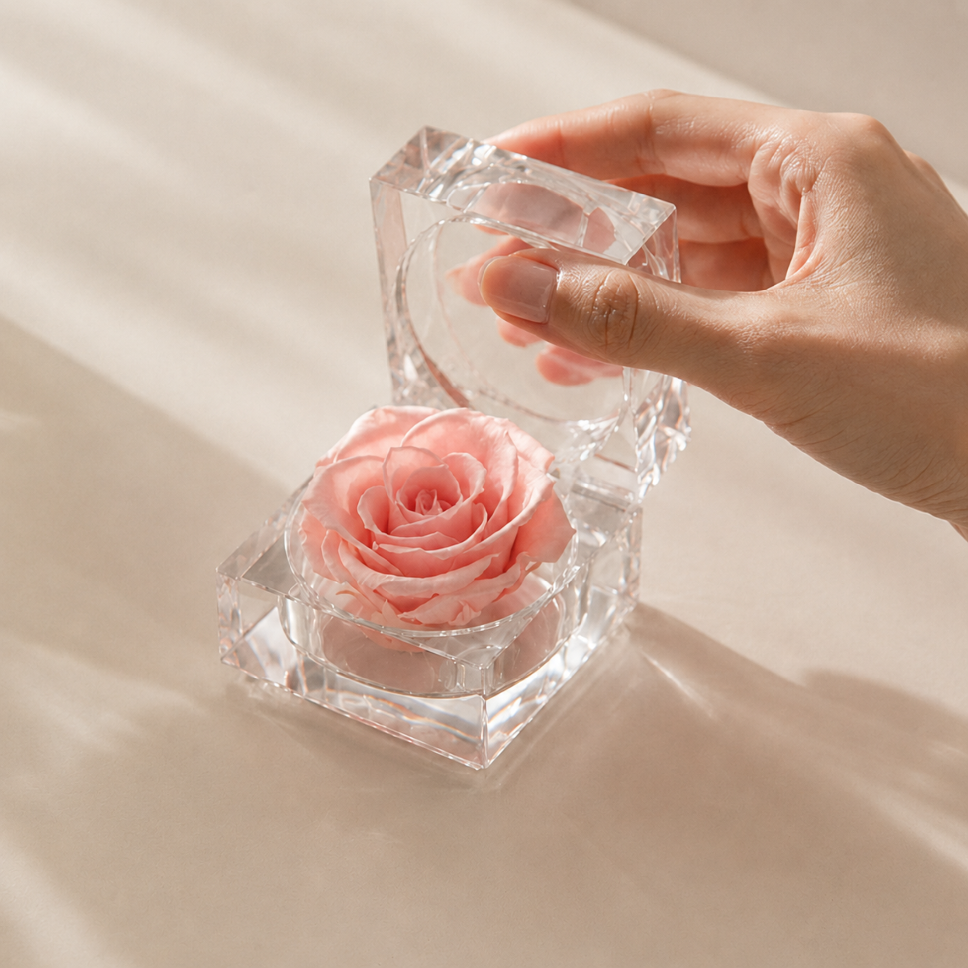A hand holds open a Pink Preserved Rose Crystal Gift Box with a real preserved rose inside a clear crystal box, set on a light beige surface with soft shadows and a blurred book in the background.
