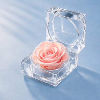 Pink Preserved Rose Crystal Gift Box with a real preserved rose inside a clear crystal box