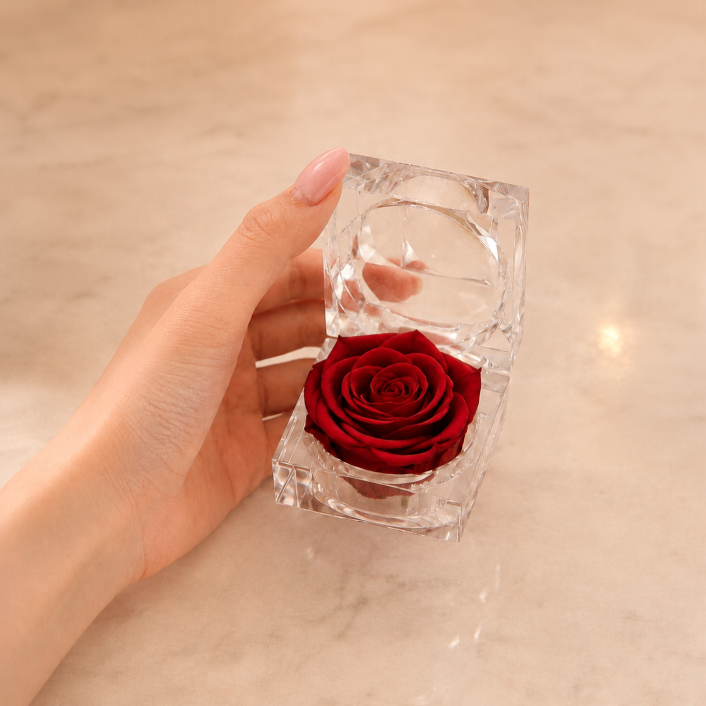 A hand holds a Red Preserved Rose Crystal Gift Box with a real preserved rose inside a clear crystal box, against a warm beige marble background.