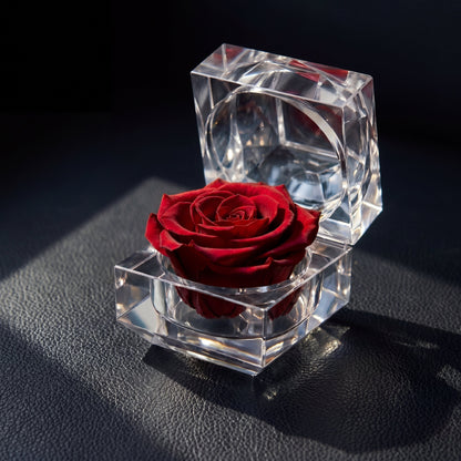 Preserved Rose Crystal Gift Box in red with real preserved rose in a clear crystal box