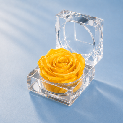 Yellow Preserved Rose Crystal Gift Box with a real preserved rose inside a clear crystal box